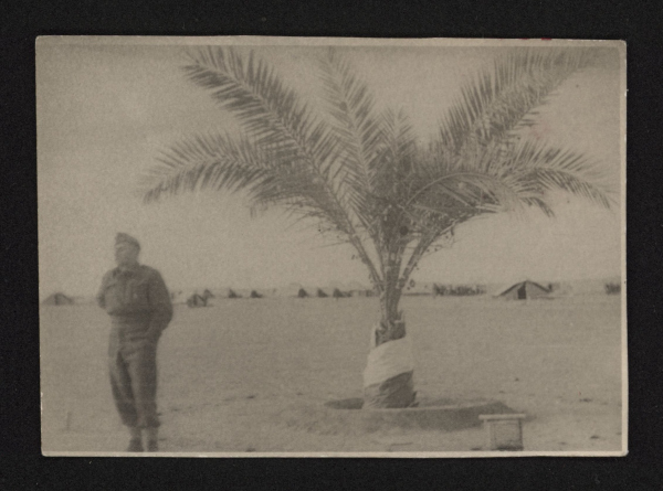 Kolekcja Alfonsa Fenglera